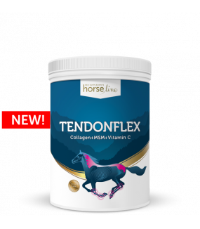 Horseline PRO TendonFlex